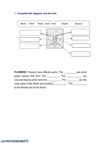 Parts of the flower