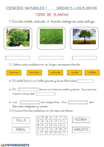 Tipos de plantas