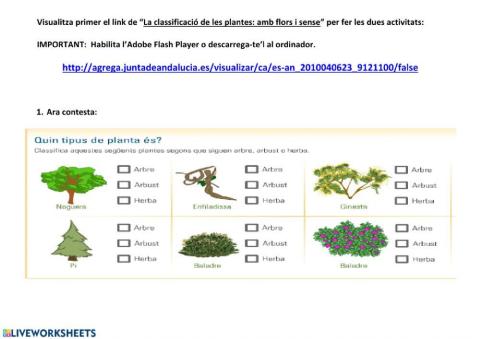 Classificació de les plantes: Amb flor o sense flor