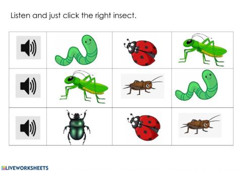 Insects