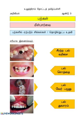 பற்கள்- ஆண்டு 3 (ஆக்கம்:திருமதி ரேணுகா சுப்ரமணியம்)