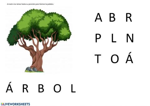 La palabra -árbol-