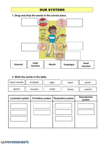 Our systems 3º