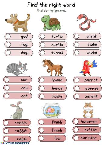 Pets multiple choice