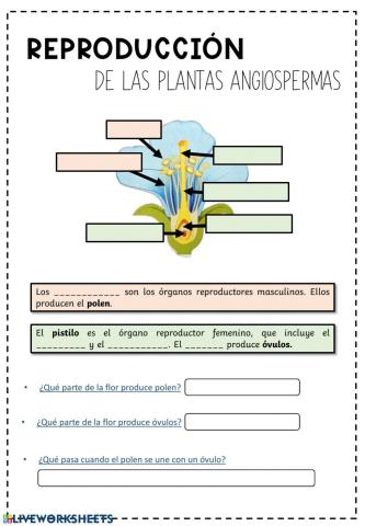 Reproducción plantas