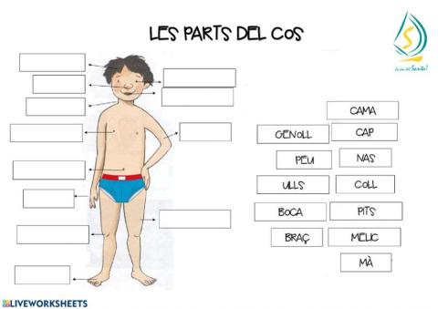 Parts del cos