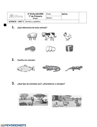 Science - prueba escrita - unidad 5 - 1º primaria