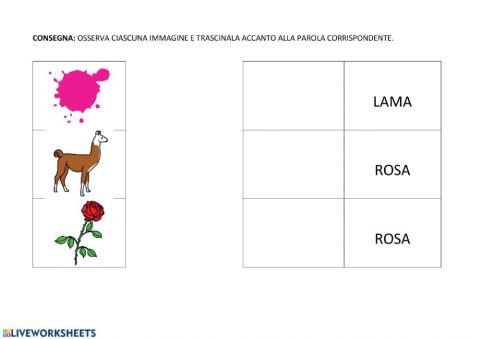 Associazione parola-immagine