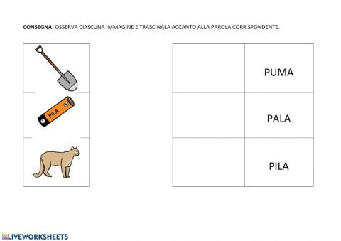 Associazione parola-immagine