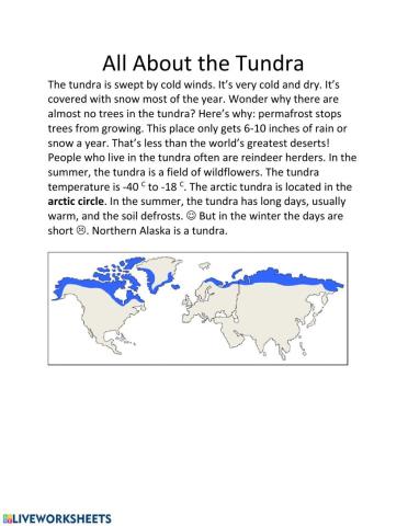 The Tundra Biome