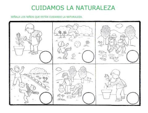 Cuidamos la naturaleza