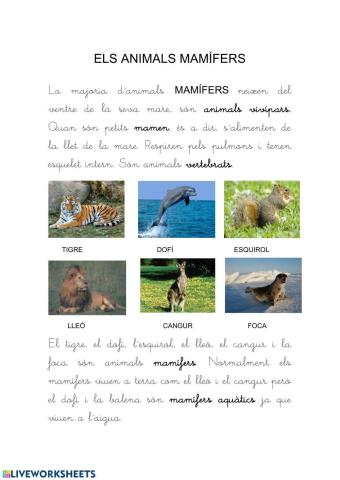 Els animals mamífers