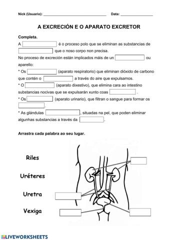 Nutrición 5. A excreción e o aparato excretor