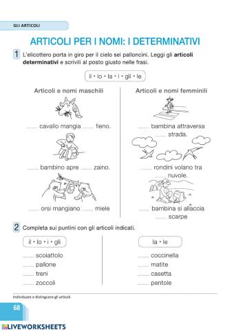 Articoli determinativi esercizio