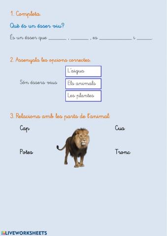 Els animals - Part 1