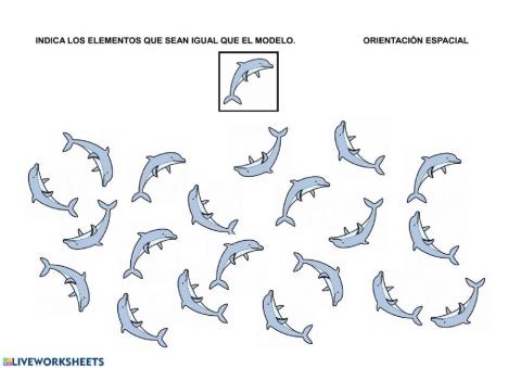 Orientación espacial