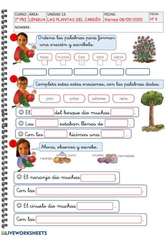 U13 Las plantas del jardÍn-ficha 8