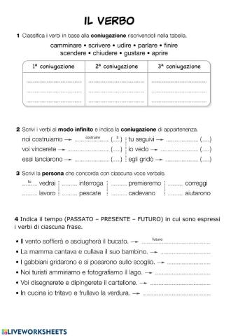 Il verbo