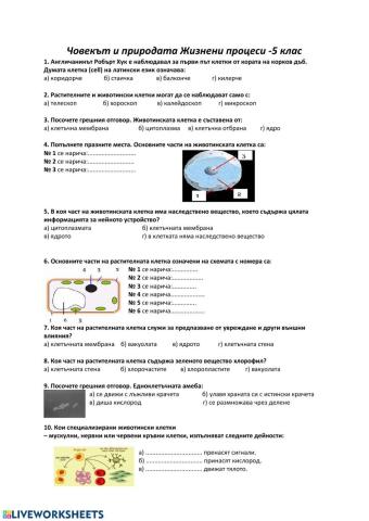 Храносмилателна система