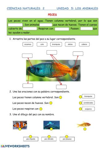 Los peces