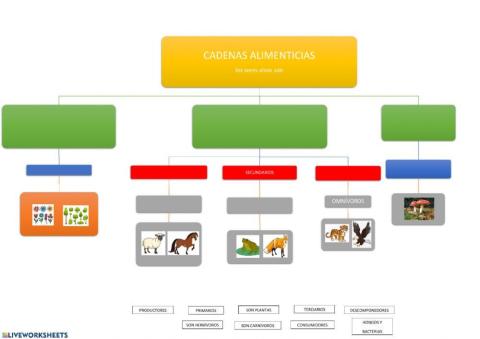 Cadenas alimenticias