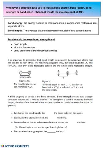 IMF worksheet 4