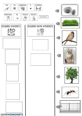 Esseri viventi e non viventi CAA