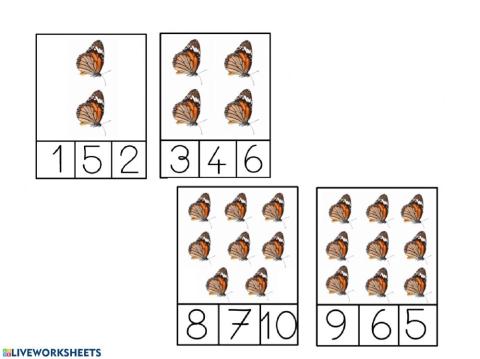 Grafia-nombre insectes