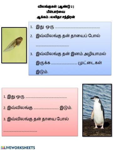 விலங்குகள் -மீள்பார்வை