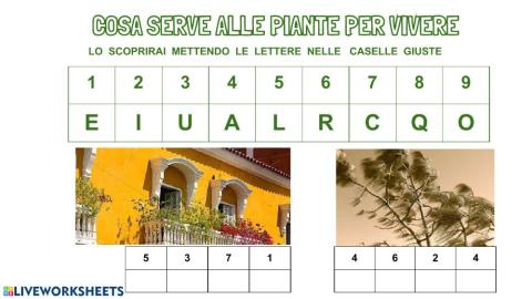 Cosa serve alle piante