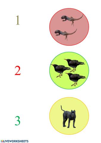 Animales de Canarias-Número Catidad