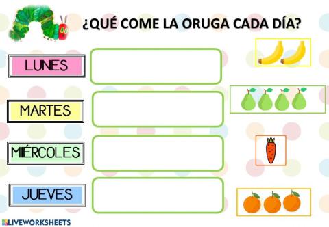 Cuento la oruga glotona: ¿qué come la oruga cada día?