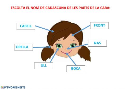 FICHA CARA CON SONIDO 4 AÑOS