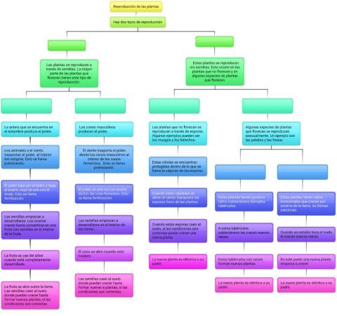 Tipos de reproducción en las plantas.