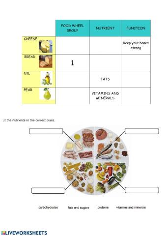 Food groups and nutrients