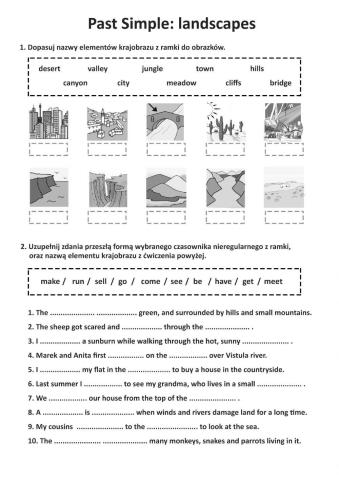 Past Simple: irregular verbs. Landscape elements