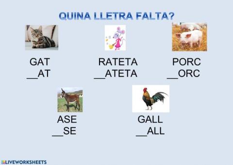 Quina lletra falta?