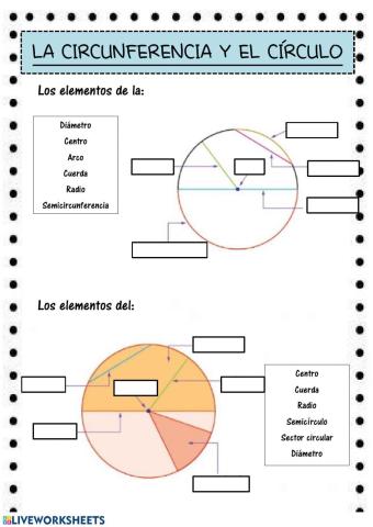 Círculo y circunferencia