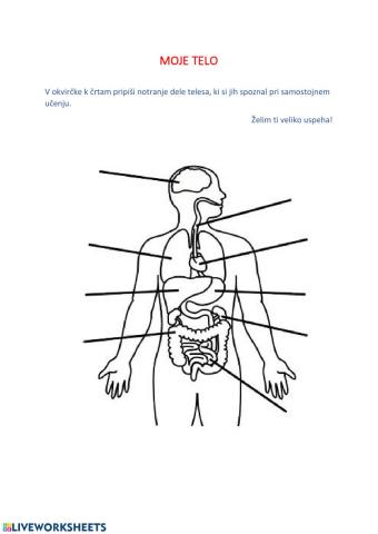 Moje telo