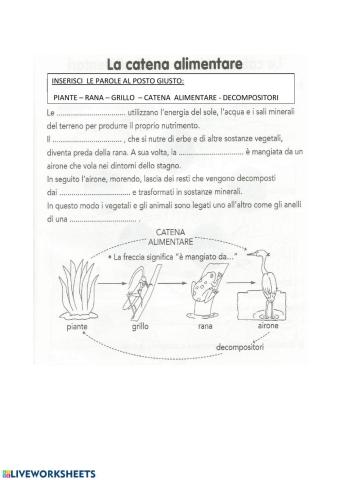 La catena alimentare e la rete alimentare