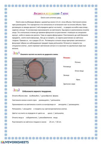 Окото като оптичен уред