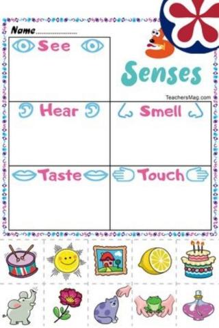 Five Senses