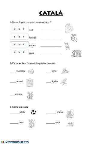 Articles i vocabulari