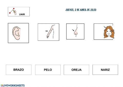 LECTOESCRITURA GLOBAL PARTES DEL CUERPO IV