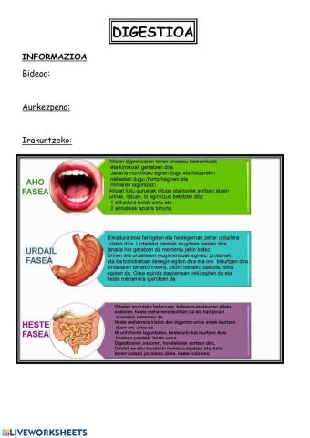 Digestioa