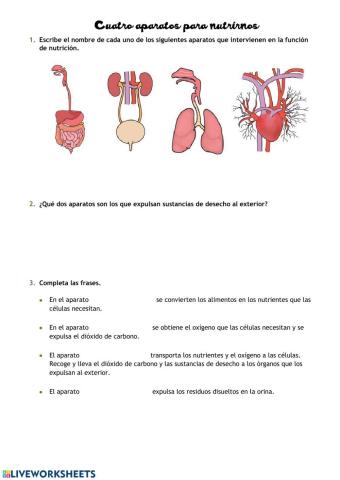 Los cuatro aparatos