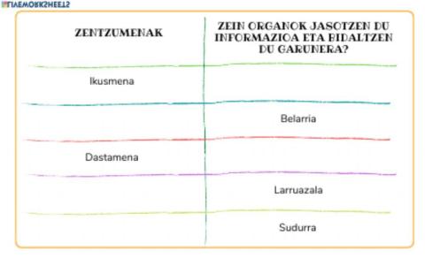 Urte askoan, txapela kaskoan 5