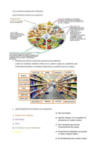 Aalimentación y nutrientes