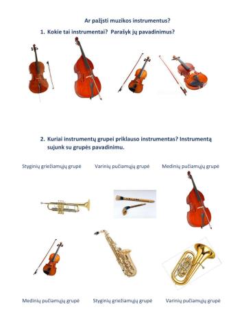 Muzikos instrumentai