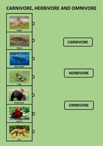 Nutrition and reproduction of animals